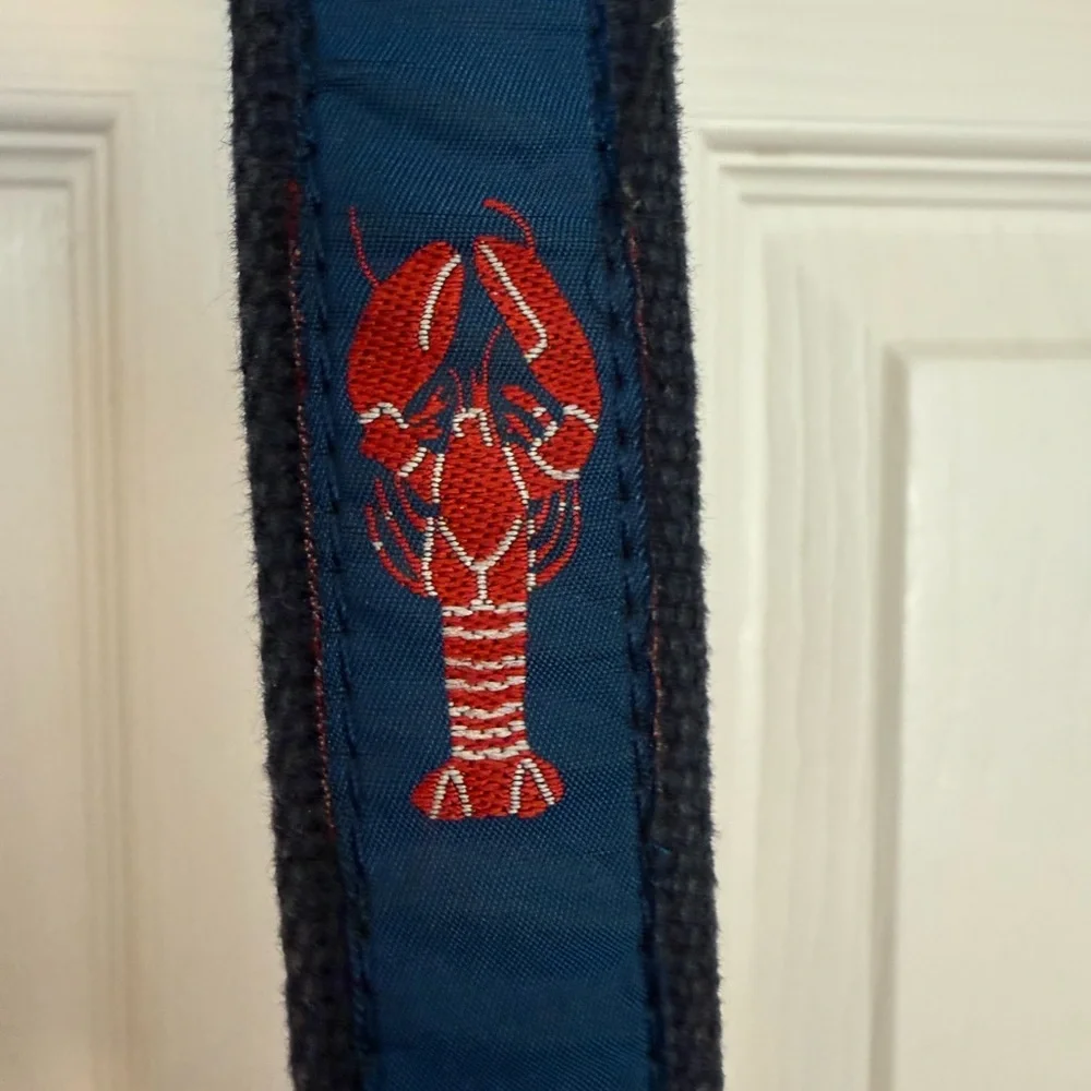 Kids' Brown and Blue Lobster Print Belt